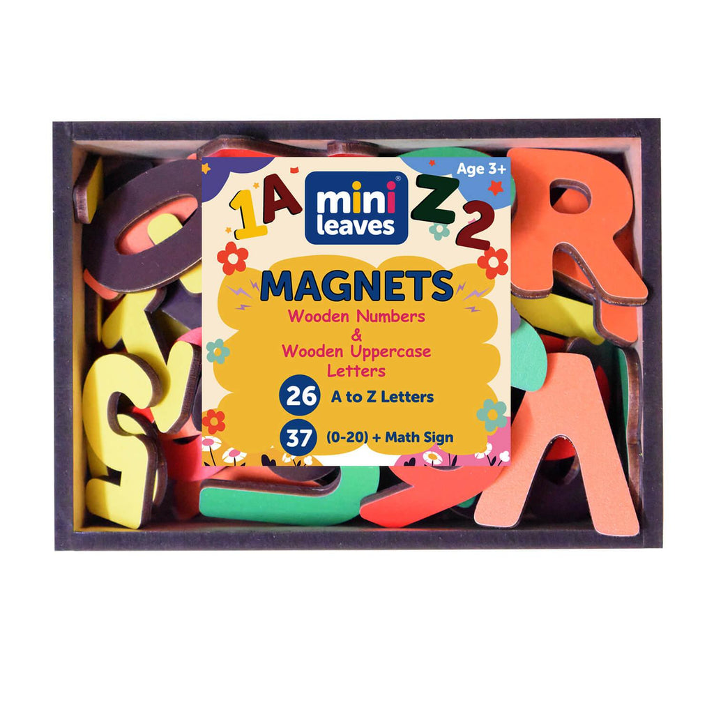 Magnetic Fishing game for kids 13 Pic A4 Size Tray at Rs 549.00
